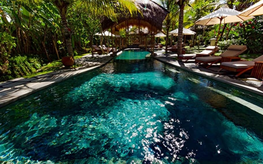 Bali Alaya Ubud Landscape Image